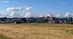 "Natur an der B465 zwischen Altsteußlingen und Münsingen 21"