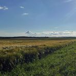 "Natur an der B465 zwischen Altsteußlingen und Münsingen 24"