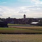 "Natur an der B465 zwischen Altsteußlingen und Münsingen 26"