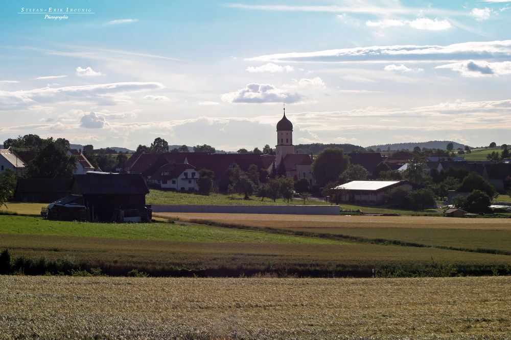 "Natur an der B465 zwischen Altsteußlingen und Münsingen 26"