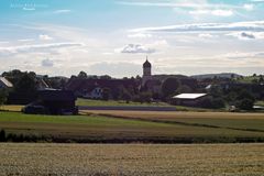 "Natur an der B465 zwischen Altsteußlingen und Münsingen 26"