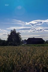 "Natur an der B465 zwischen Altsteußlingen und Münsingen 28"