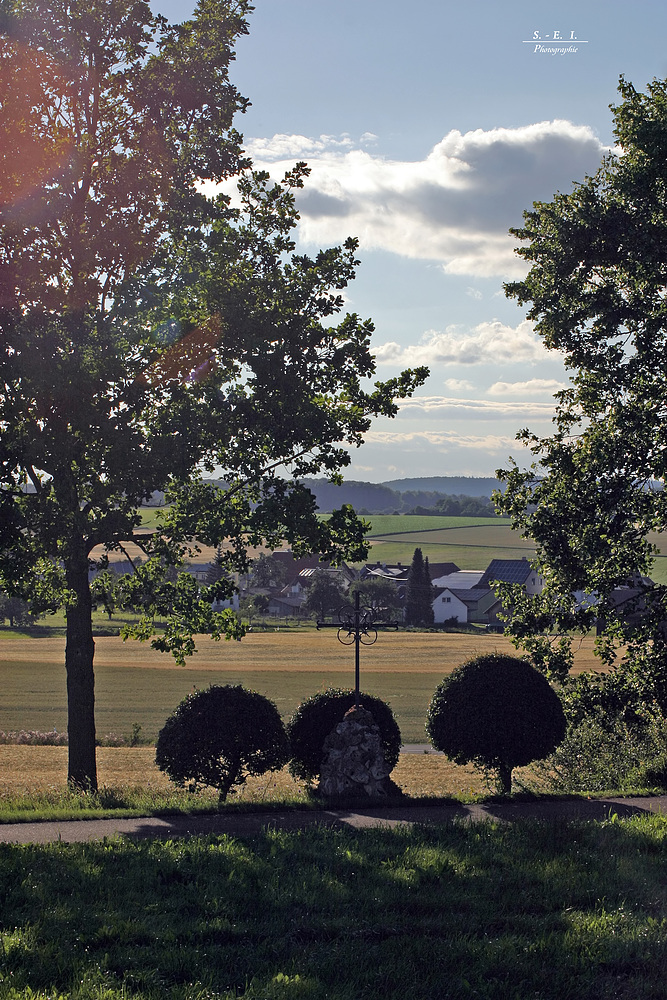 "Natur an der B465 zwischen Altsteußlingen und Münsingen 37"