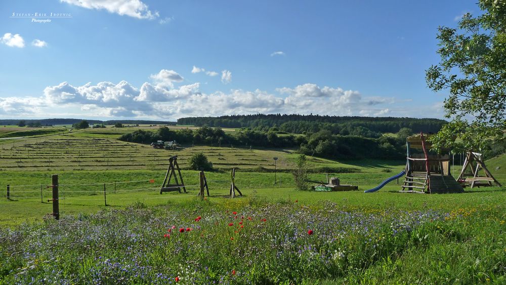 "Natur an der B465 zwischen Altsteußlingen und Münsingen 4"