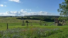 "Natur an der B465 zwischen Altsteußlingen und Münsingen 4"