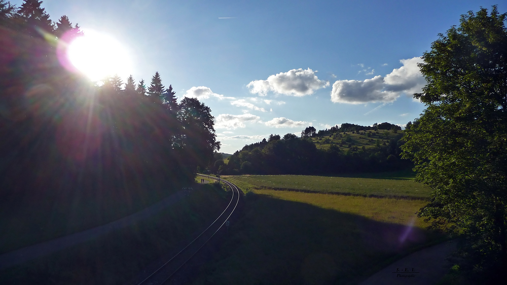 "Natur an der B465 zwischen Altsteußlingen und Münsingen 45"