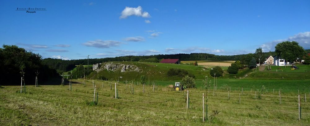 "Natur an der B465 zwischen Altsteußlingen und Münsingen 6"