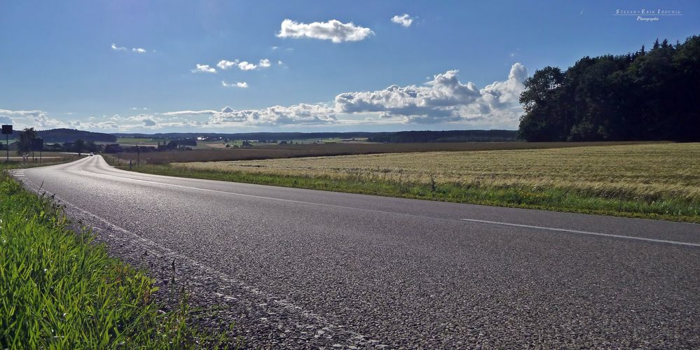 "Natur an der B465 zwischen Ehingen und Münsingen 1"