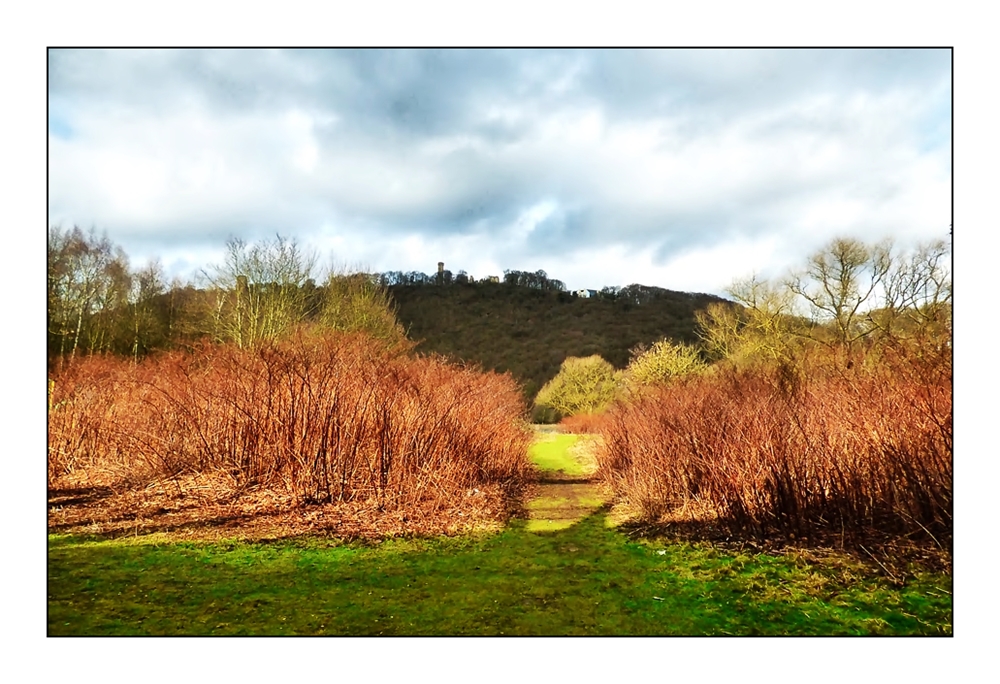 Natur an der Lenne