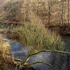 Natur an der Wupper - 21.11.2018 