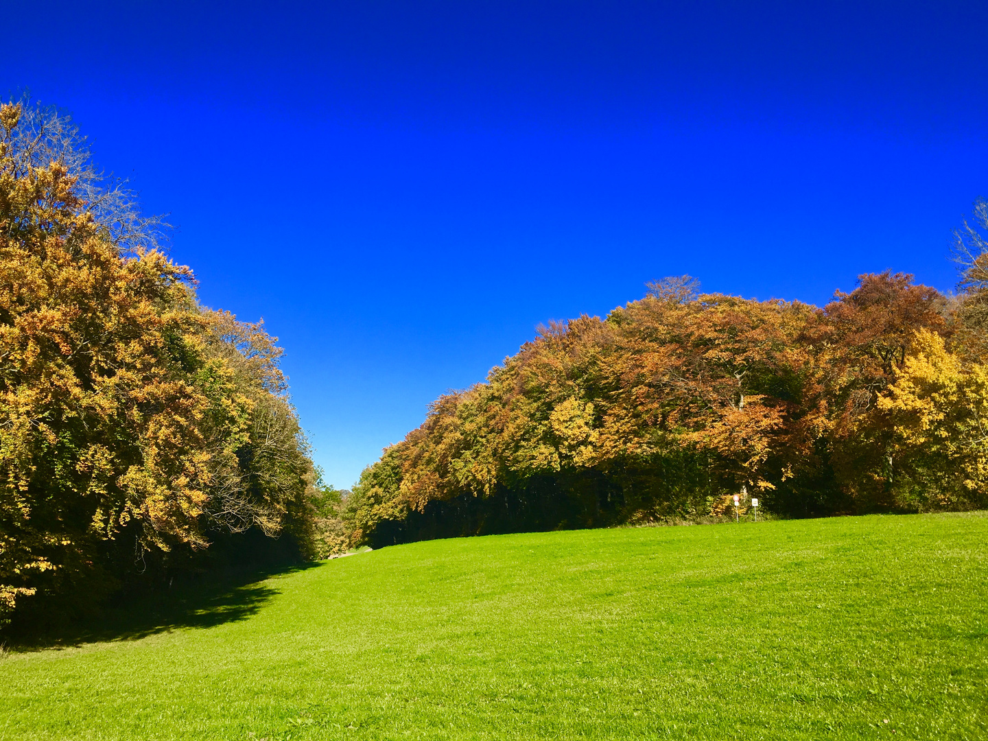 Natur Ansichten rund um die schwäbische Alb