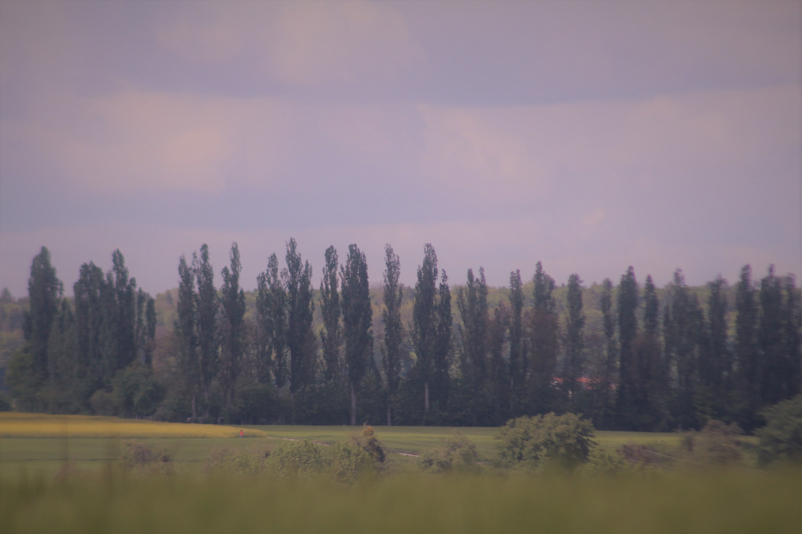 Natur Ansichten rund um Nürtingen