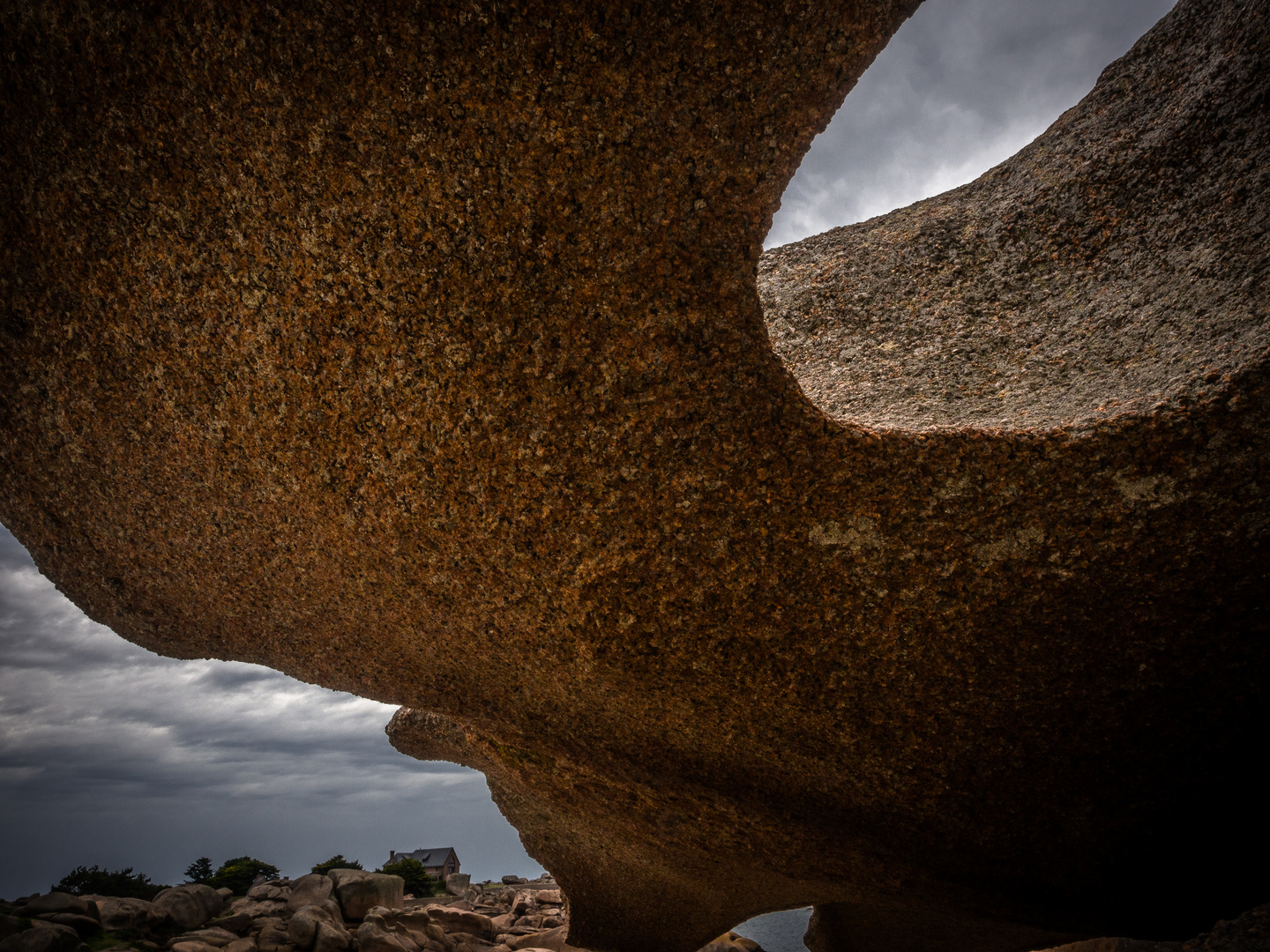 Natur-Architektur