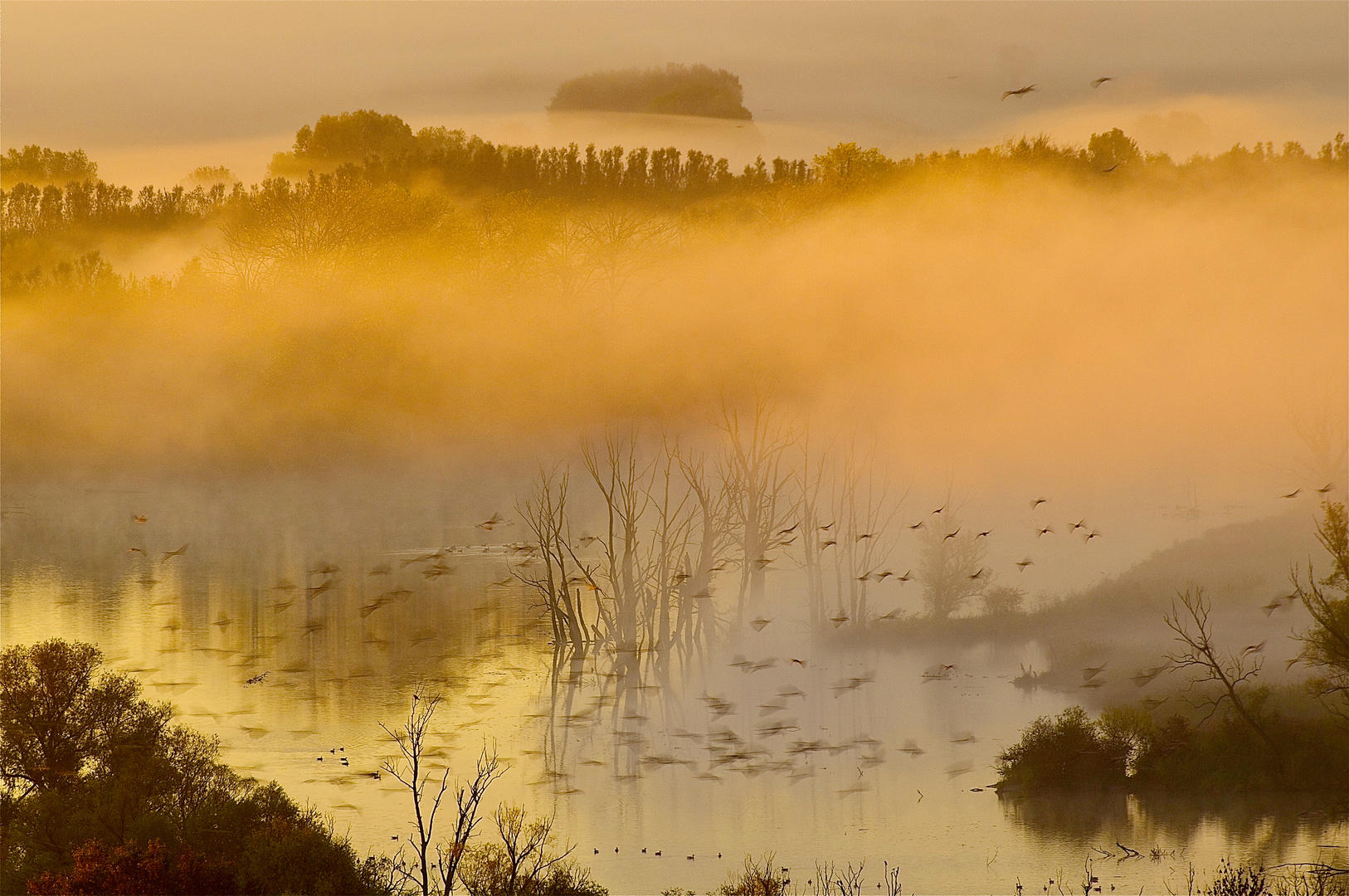 Natur as Art