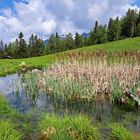 Natur auf 2000 Meter