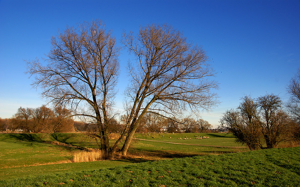 Natur auf dem Sprung