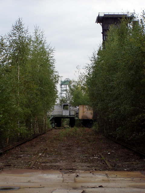 Natur auf der Ofendecke