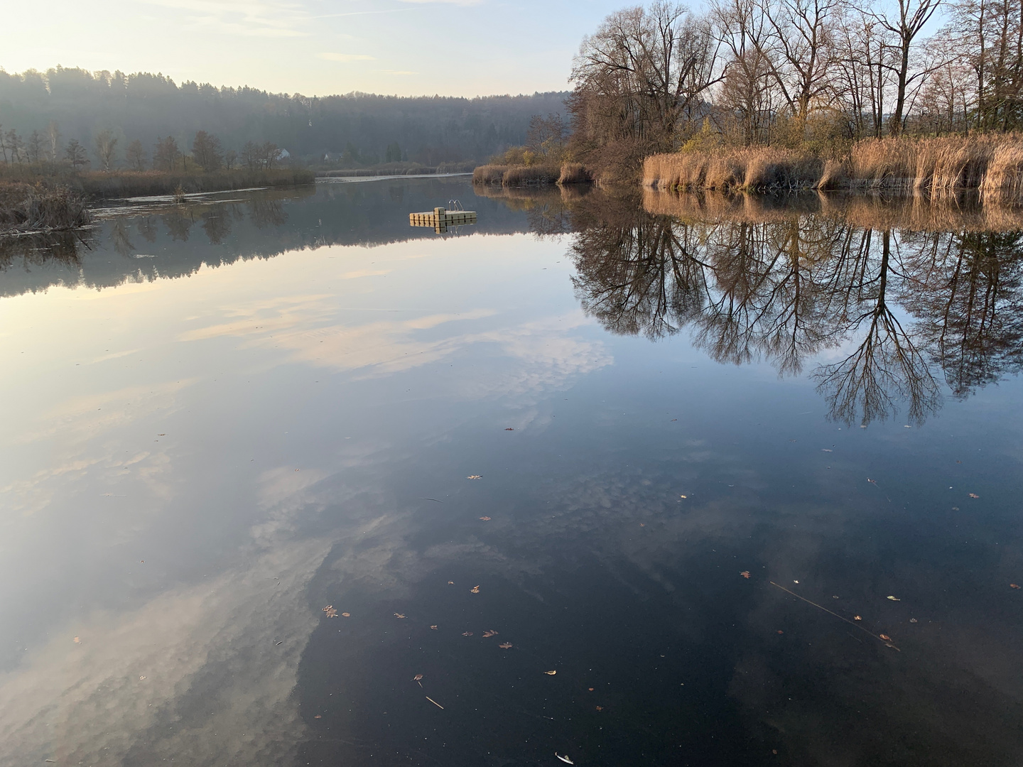 Natur Badesee