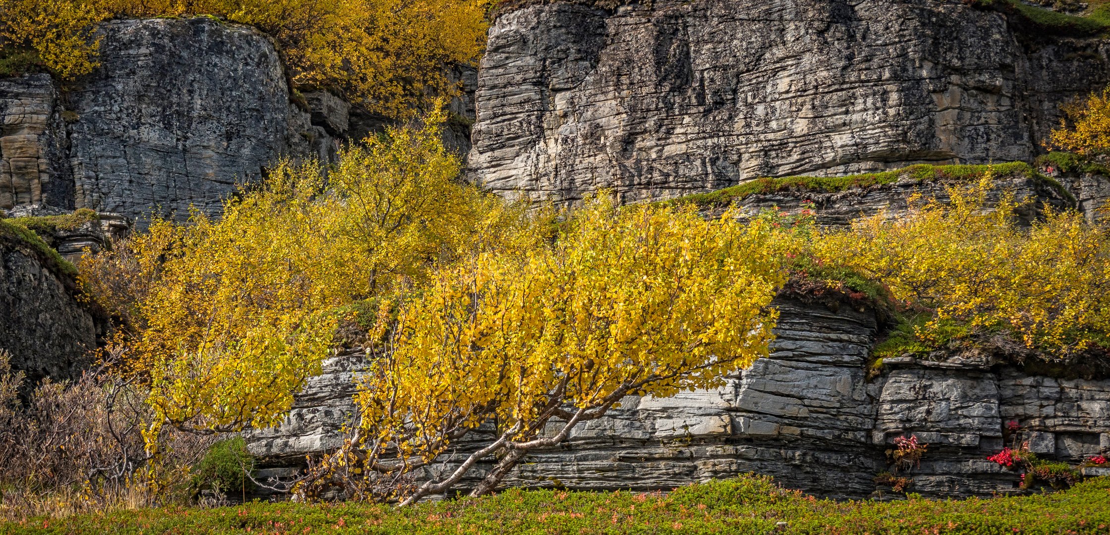 Natur begeistert