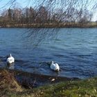 Natur bei Anbruch des Frühlings