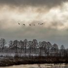 Natur bei Lippstadt 