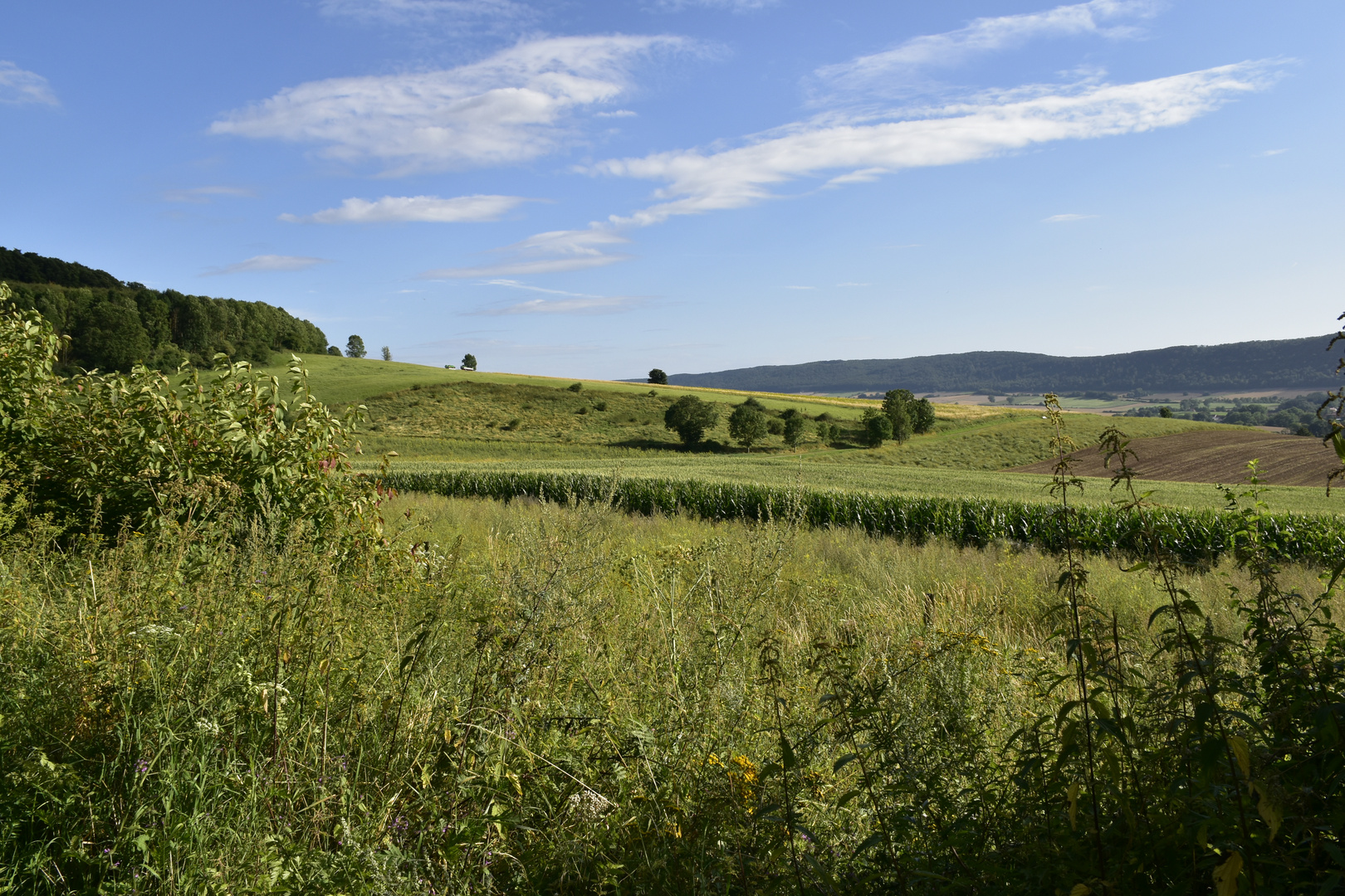 Natur bei Salzhemmendorf