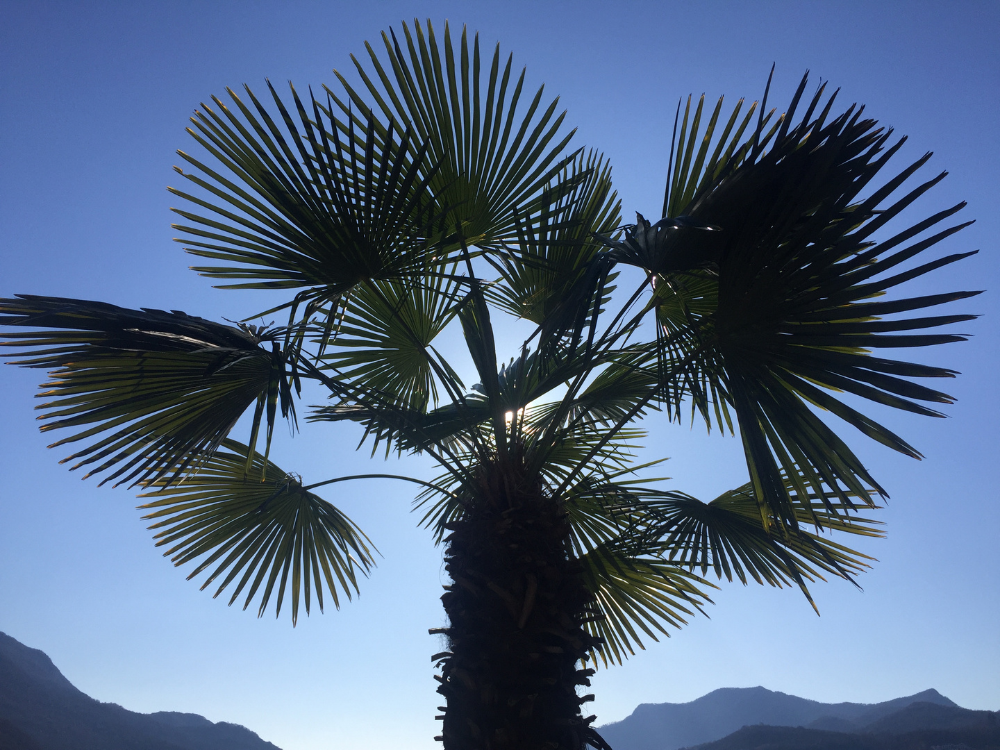 Natur bei Sonnenschein ...