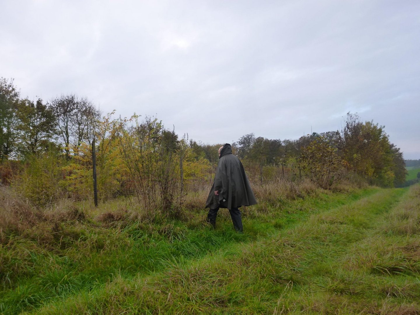 Natur Beobachtungen