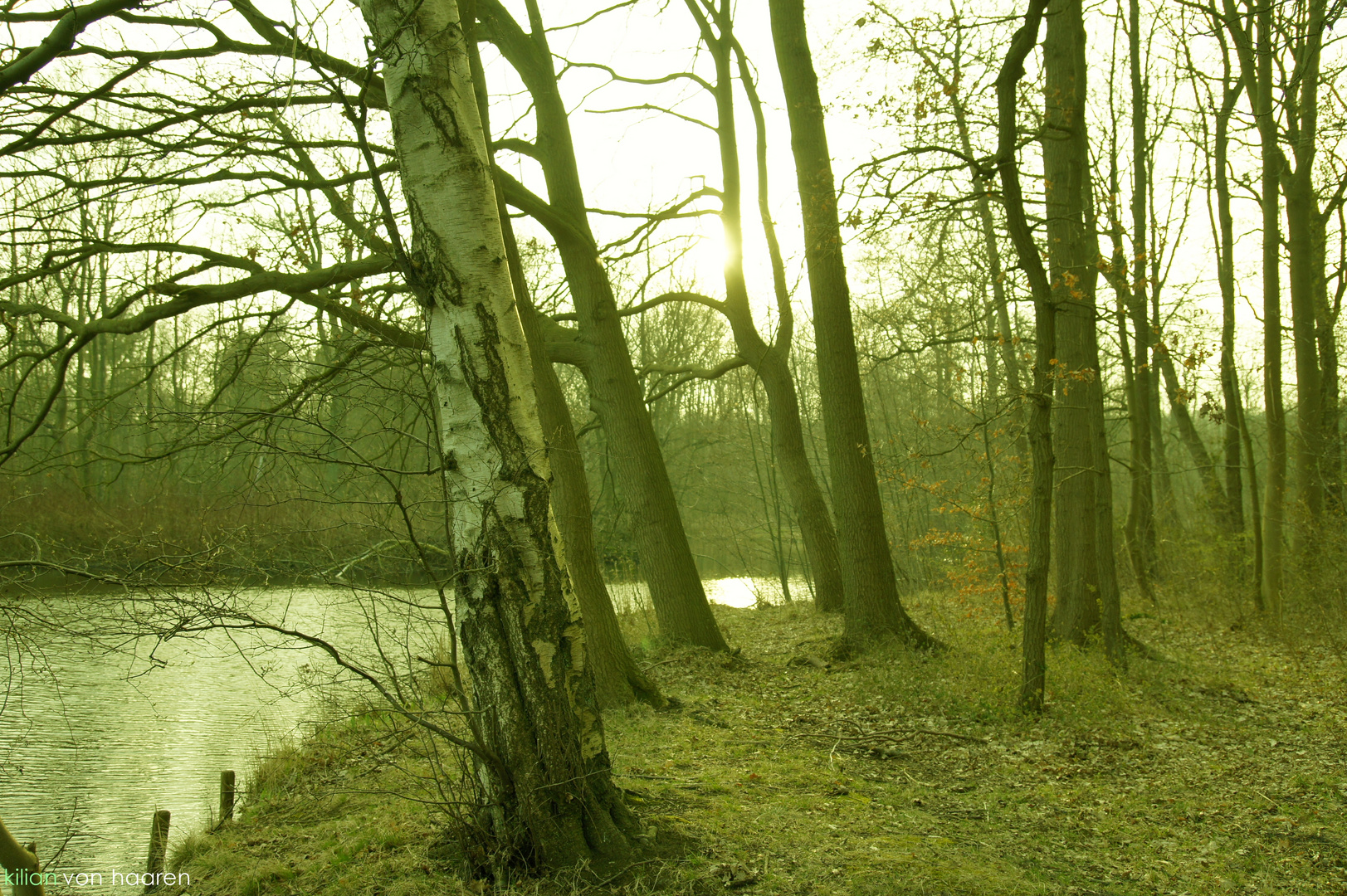 natur berauschend.