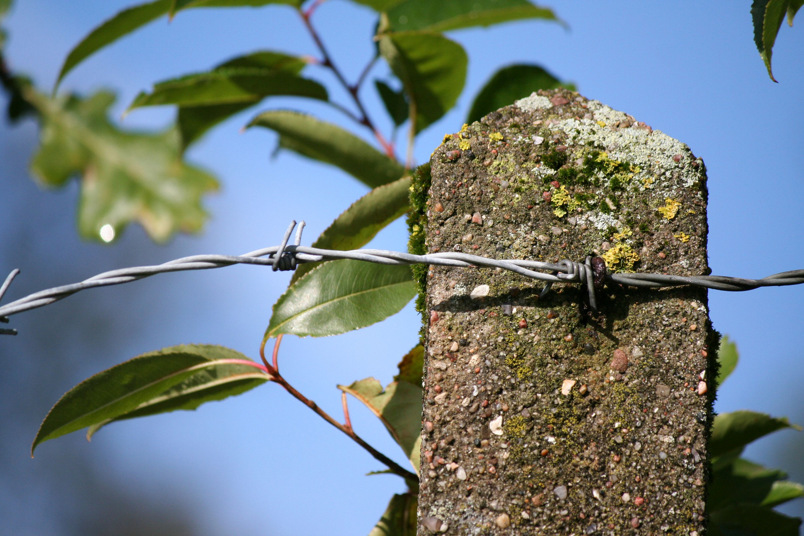 Natur & Beton