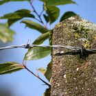 Natur & Beton