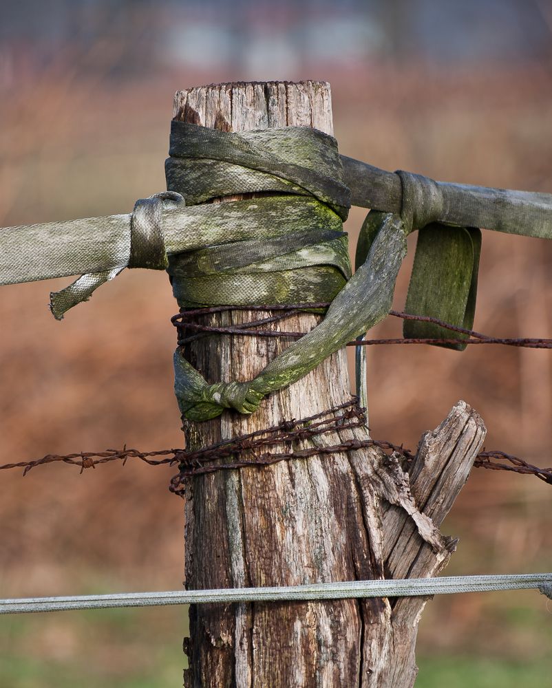 Natur - Bondage