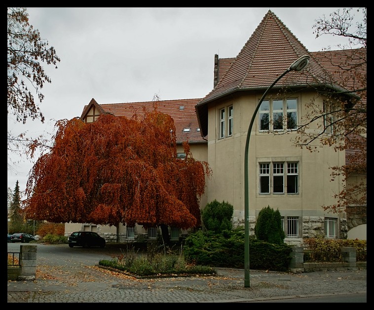 Natur-Carport im Herbst...