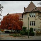 Natur-Carport im Herbst...