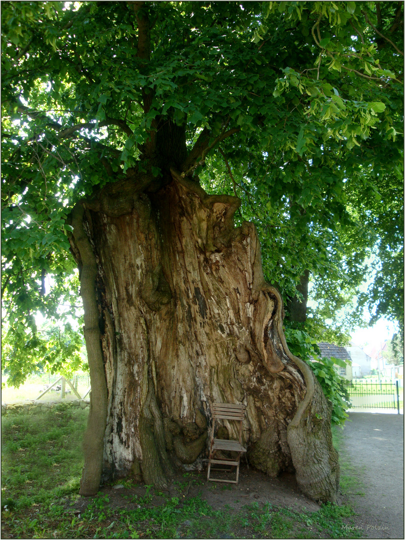 Natur-Denk-Mal