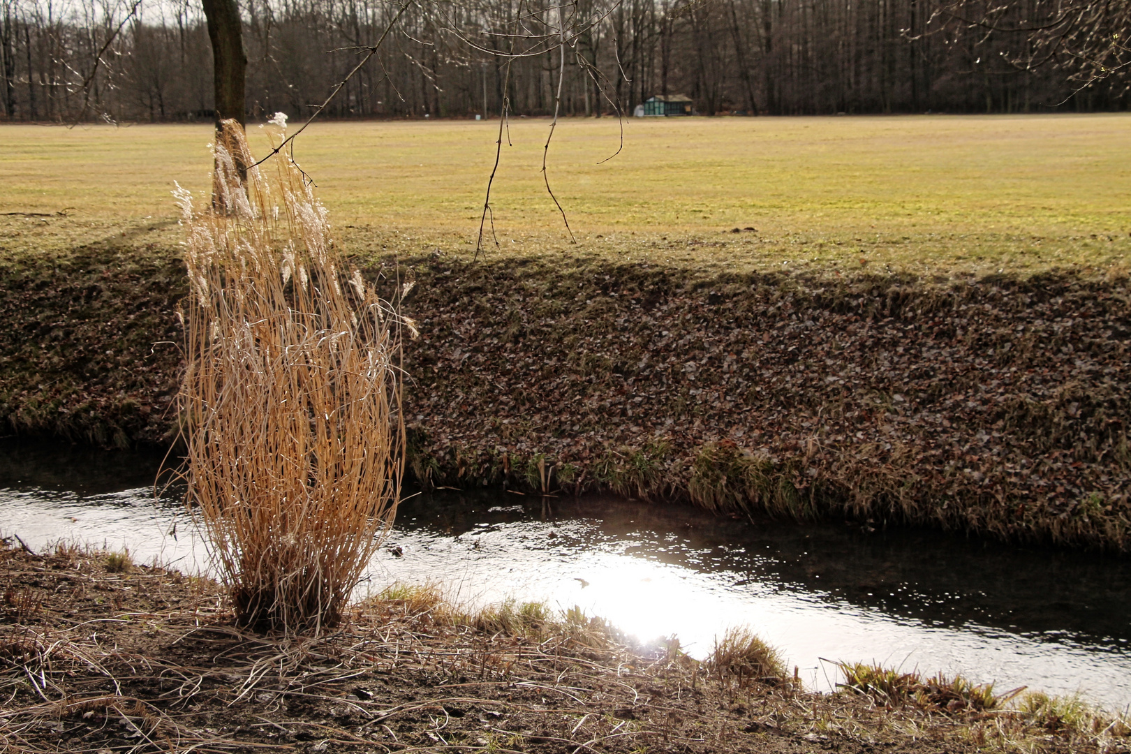 Natur der Lausitz