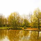 Natur, Düsseldorf