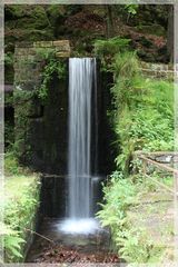 Natur Dusche