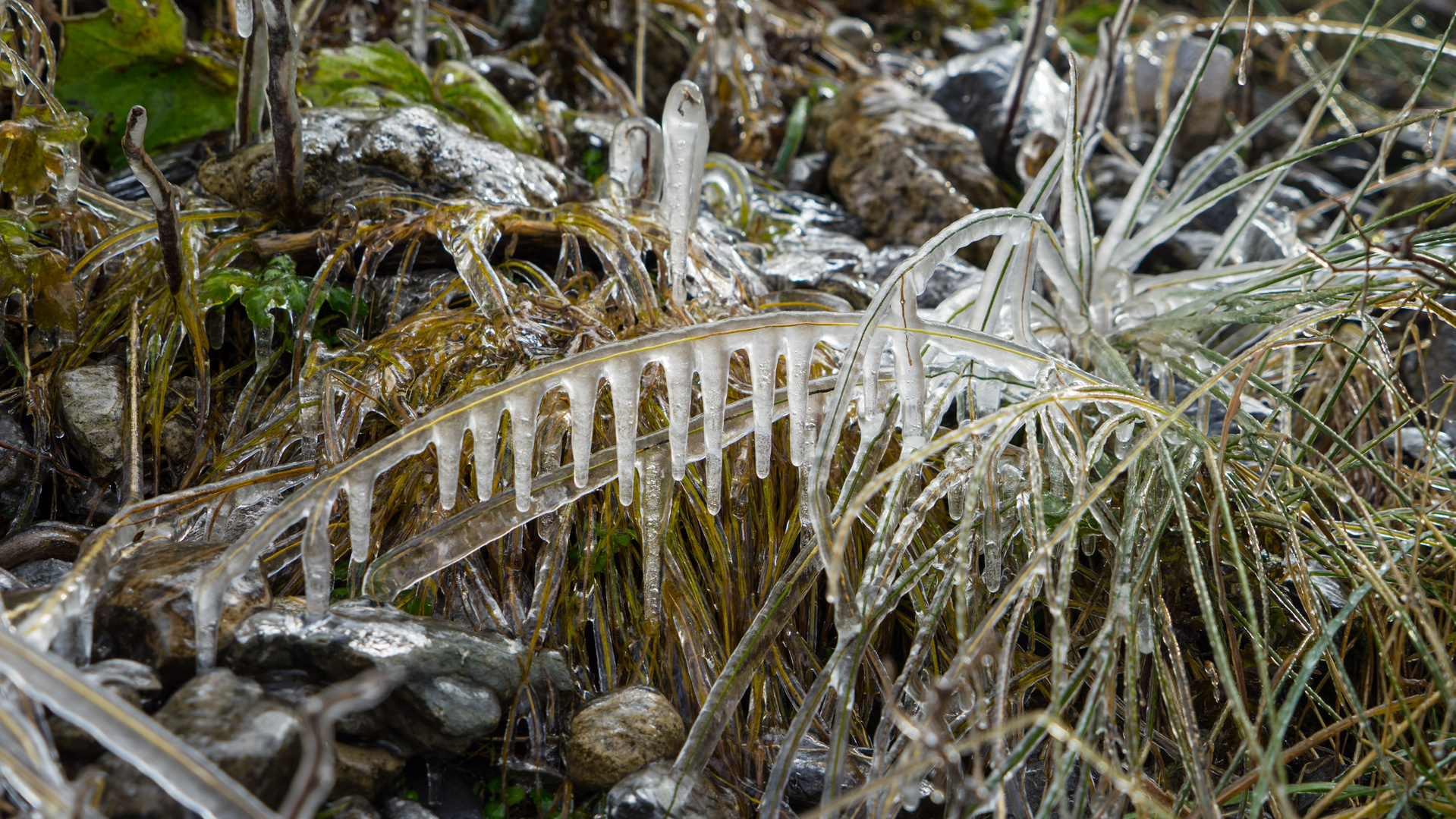 Natur-Eis