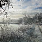 Natur eiskalt