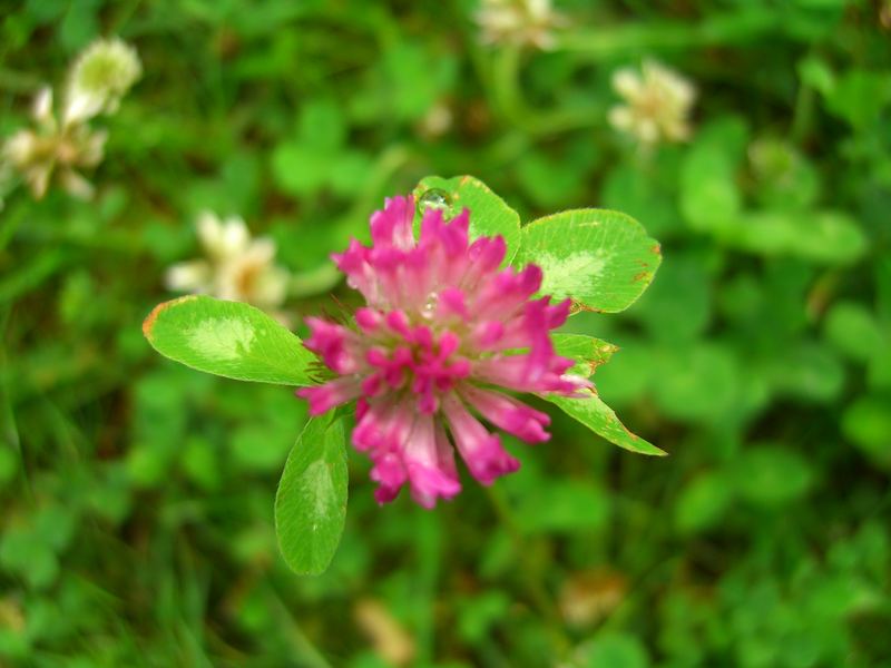 Natur erleben