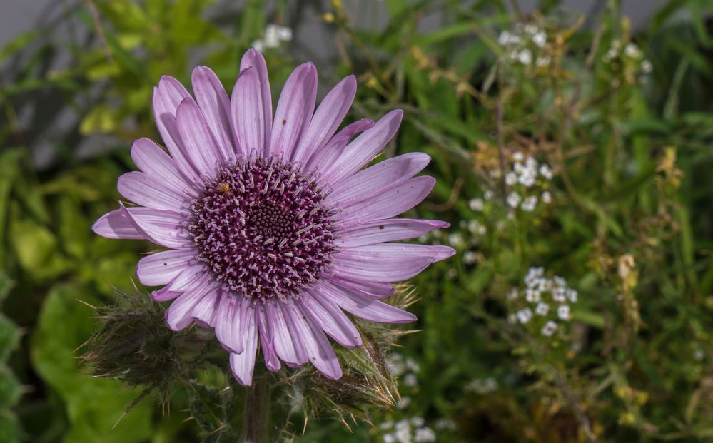 Natur erleben