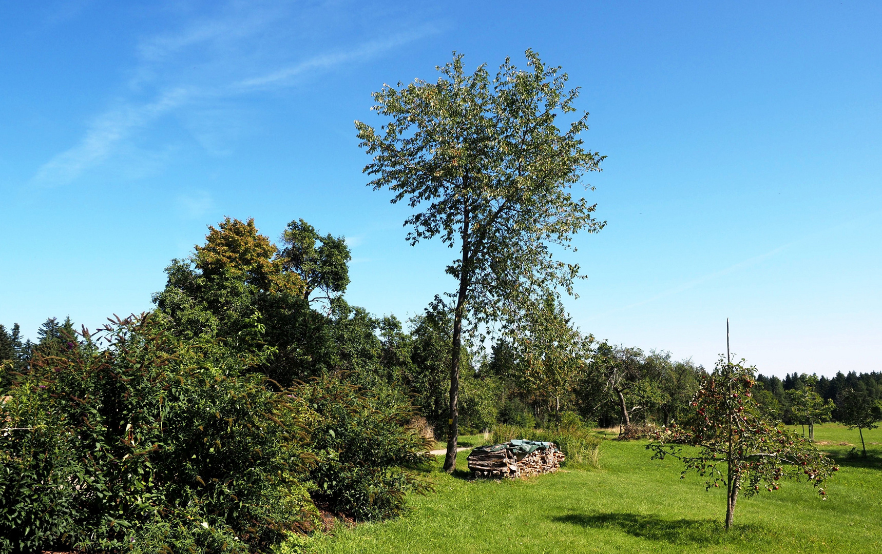 Natur erleben