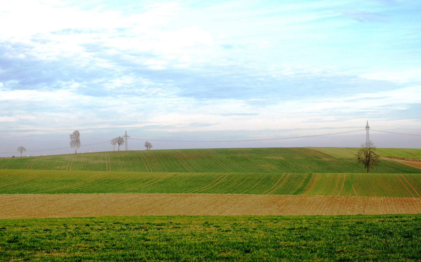 Natur erleben