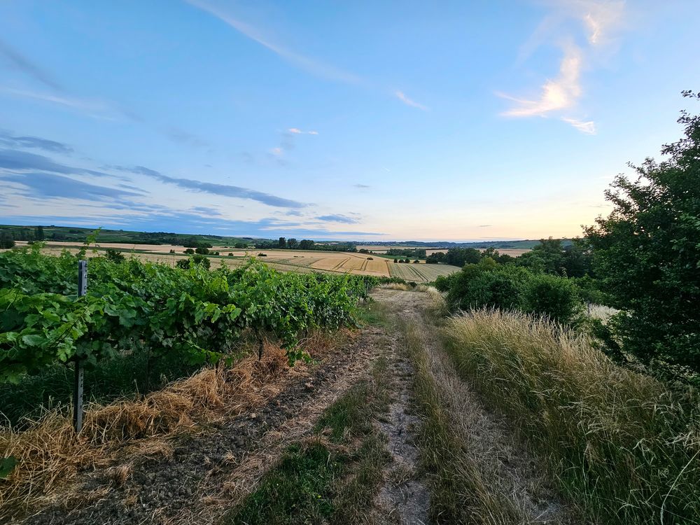 Natur erleben