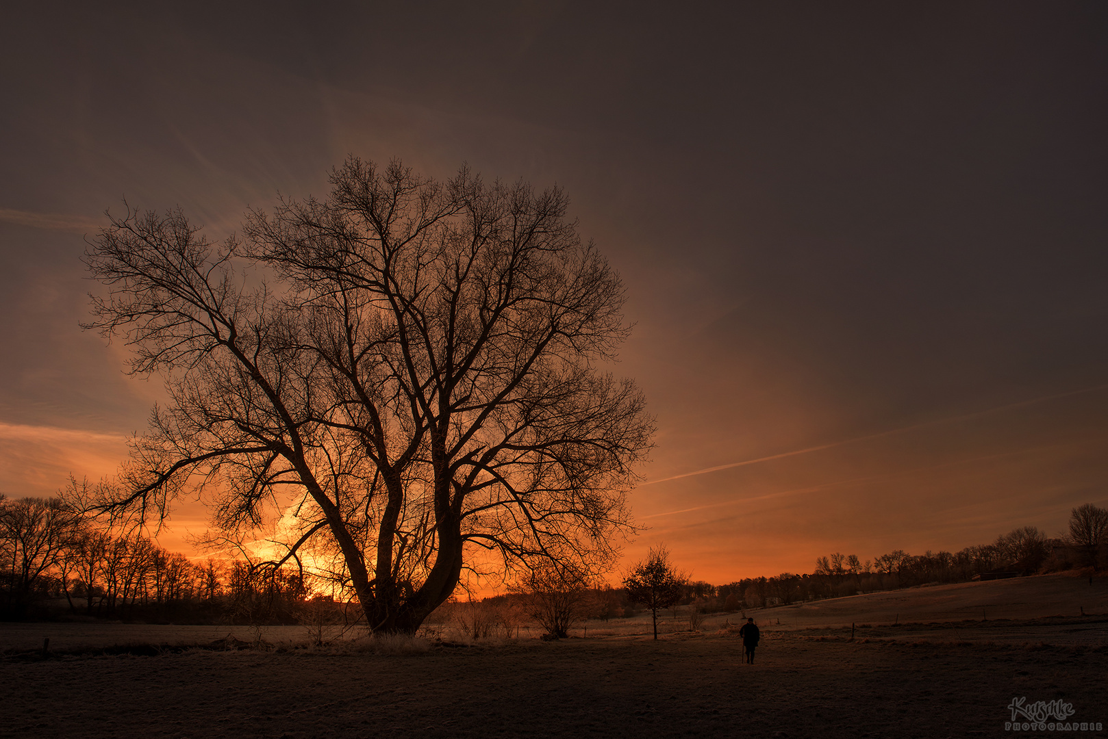 Natur erleben 