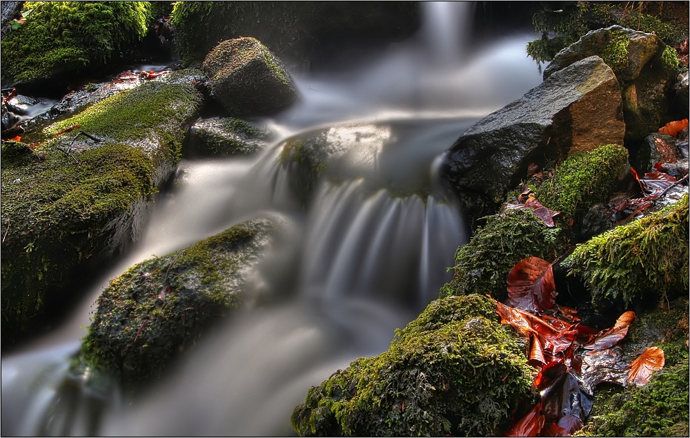 Natur erleben