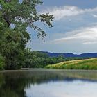 Natur erleben