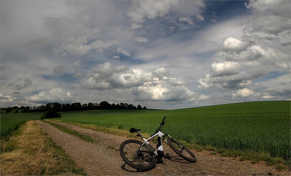 Natur erleben