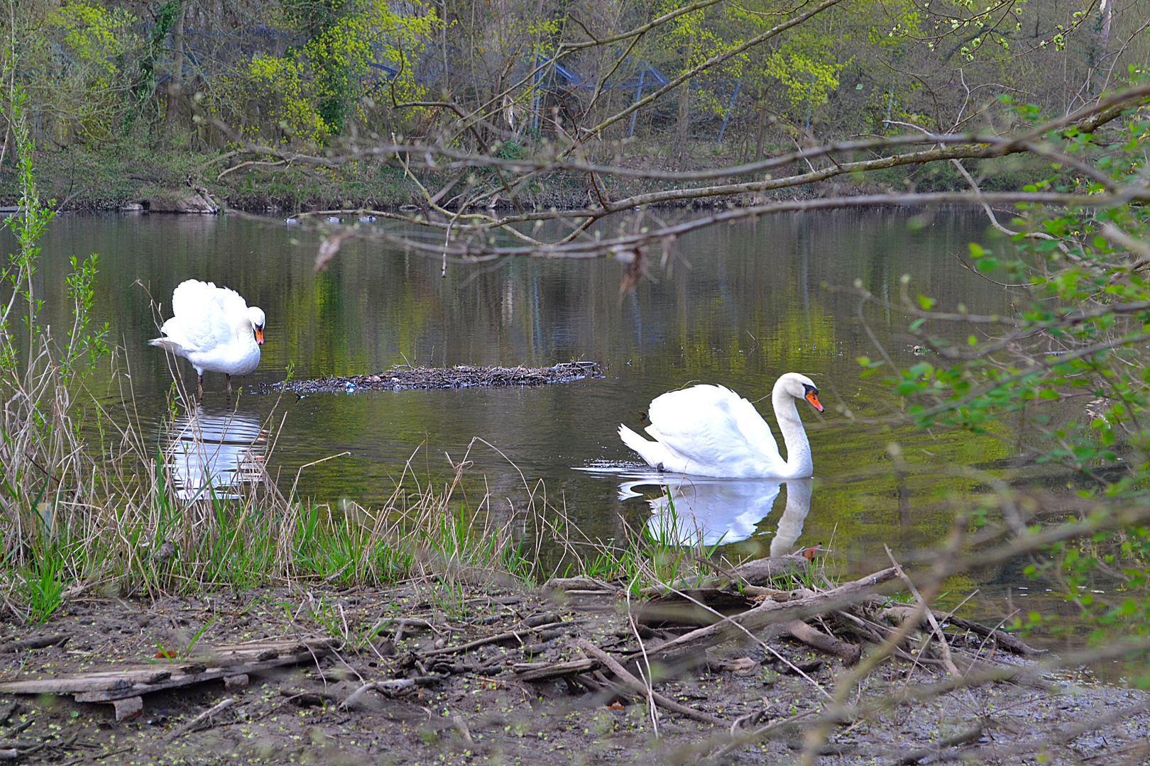 Natur erleben - an der Nahe (Bad Münster a. Stein)